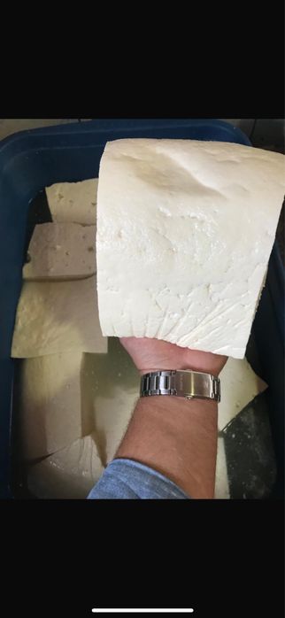 Branza de oaie si capra
