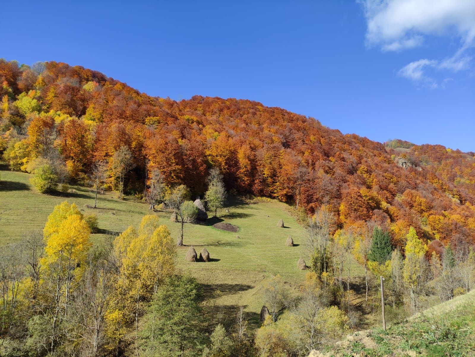 Cabana de închiriat Rimet, jud. Alba