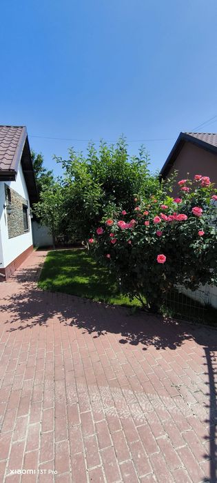 Casă 3 camere, curte 300 mp, foișor