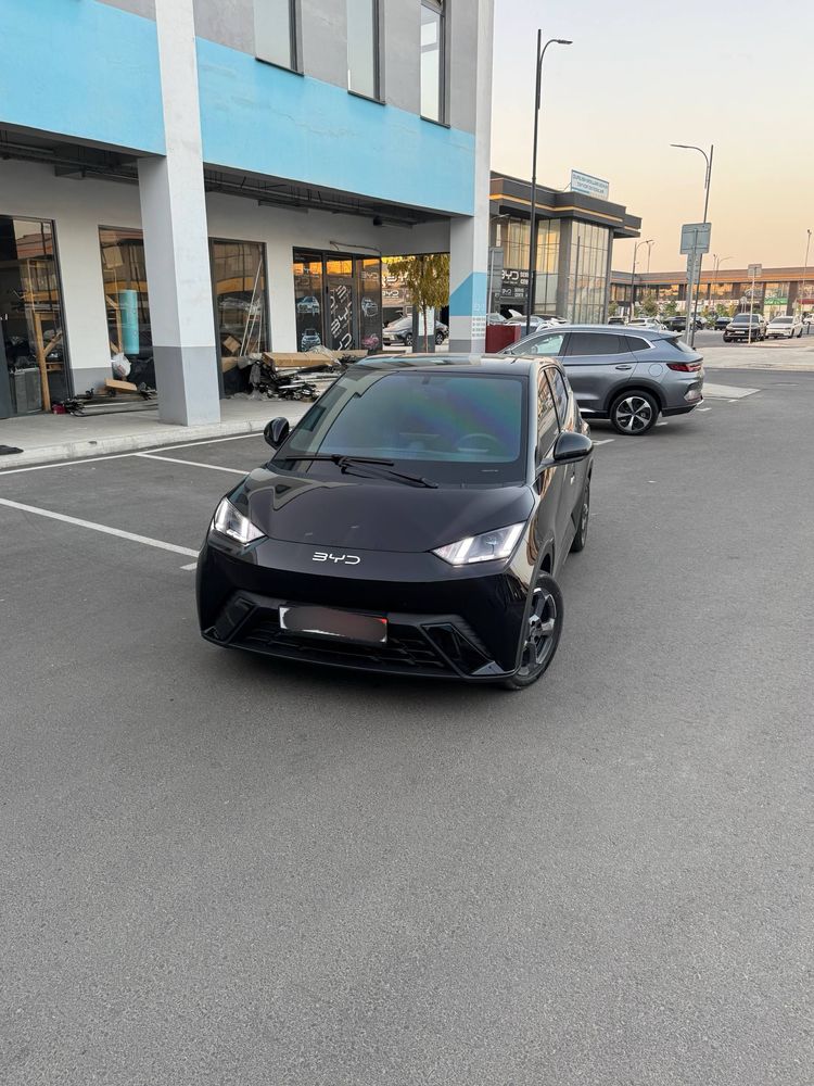 Byd Seagull 405 km Full