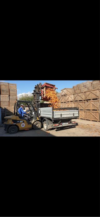 Morcovi si sfecla de vanzare