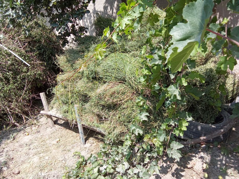 Beda sotiladi narxini kelishamiz somon press xam bor 40 dona