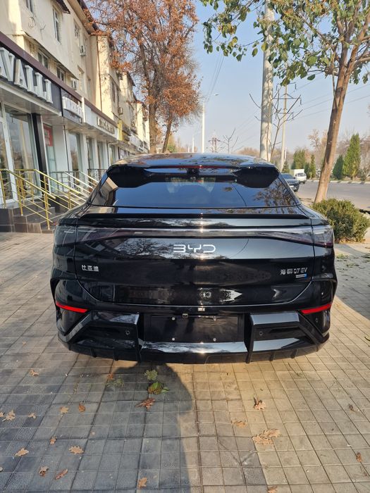 Byd sealiom 07  2025