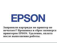 Прошивка принтеров epson. Сброс памперса впитывающей прокладки.