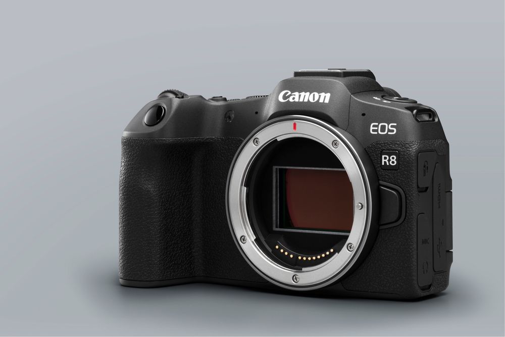 Canon EOS R8 BODY + KIT 24-50 STM