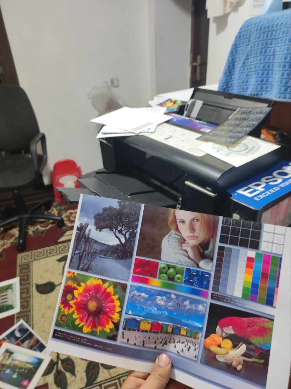 Epson i 800 olti rangli