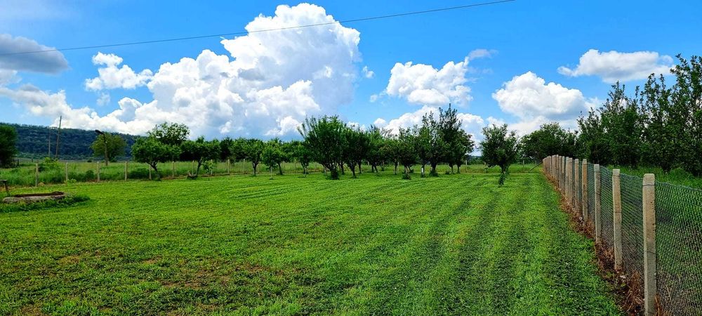 Продава се парцел село Мерданя 1360 кв.м.  Област Велико Търново