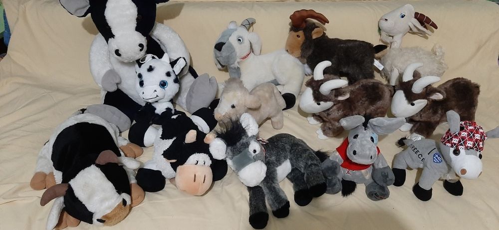 Poney,catei,iepurasi,acute,oite,lps