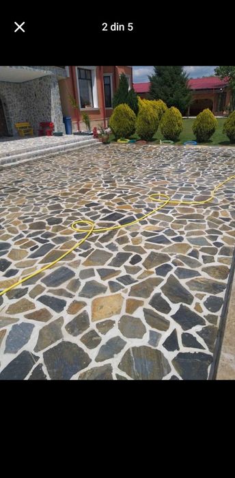 Piatră naturală de munte și plante ornamentale