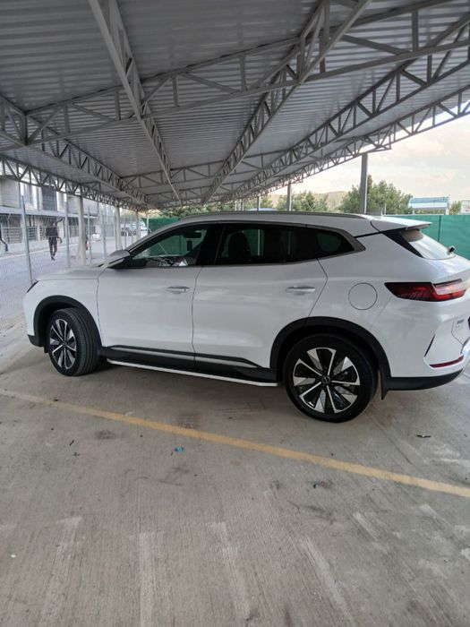 Byd chempion elektr 605