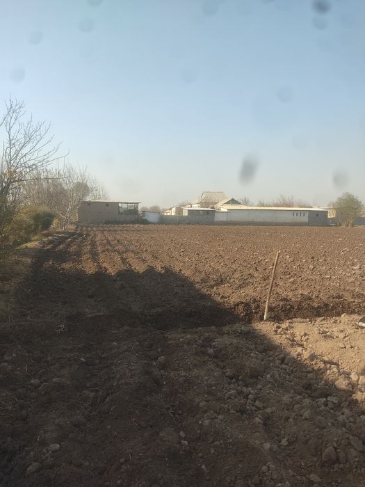 Surxondaryo viloyati Oltinsoy tumanida 27 Sotix Yer Maydoni Sotiladi