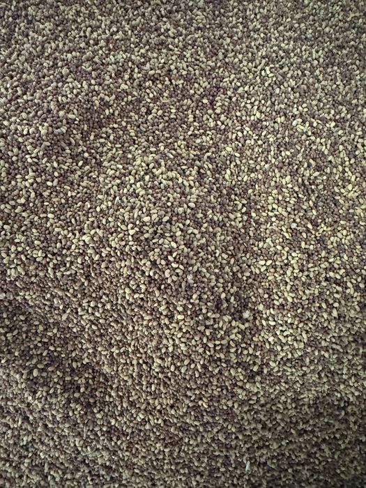 ОТСЕВКИ от люцерна -семе