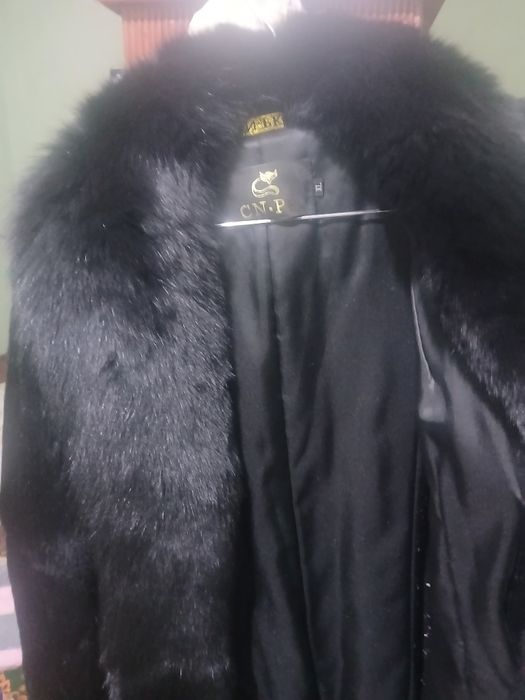 Шубо таза бахаси келсили