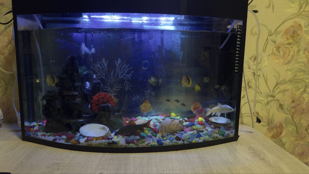Аквариюм 1метрлик