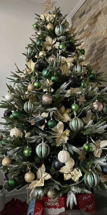 Brad  Nordic 3D premium