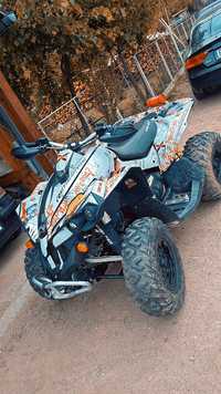 Can am Renegade 800