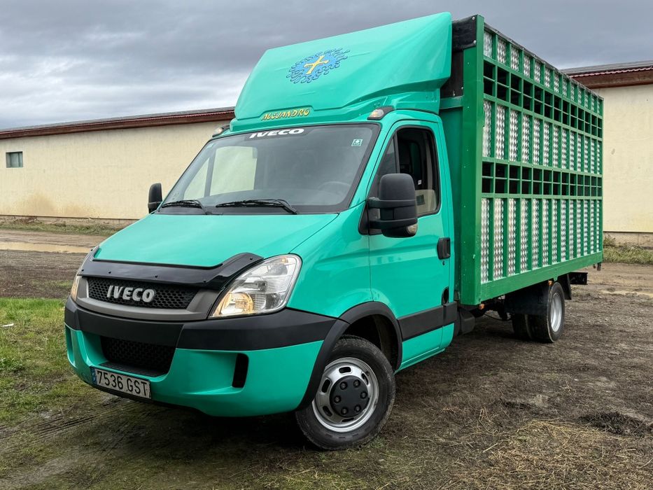 Iveco Daily Transport animale vii