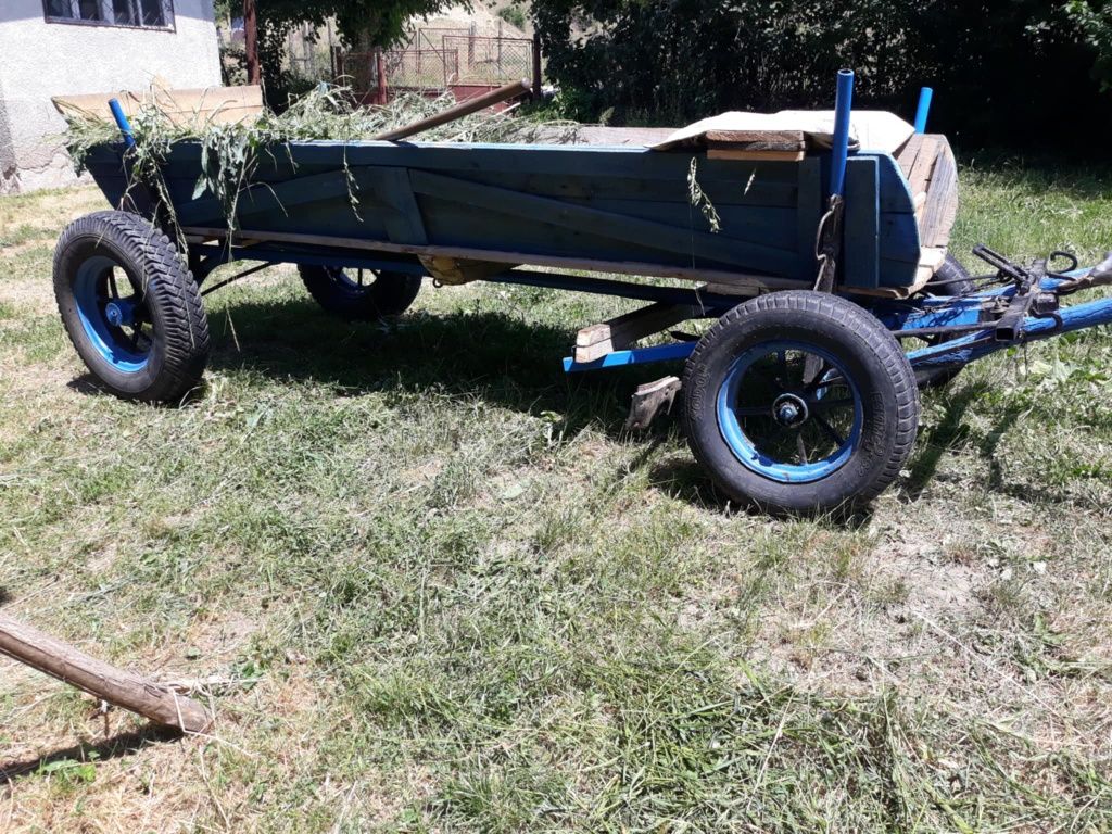 Cal  de vanzare olx