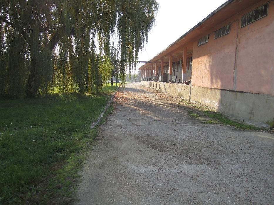 Продава се Склад в Полски Тръмбеш - 8500 кв.м за 40 €/кв.м - Снимка #1