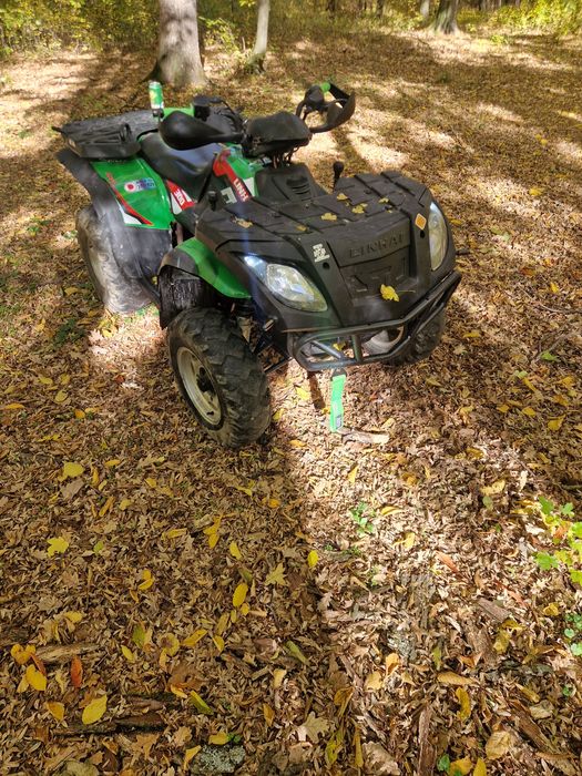 Vand/ Schimb Linhai anniversary 300 cc