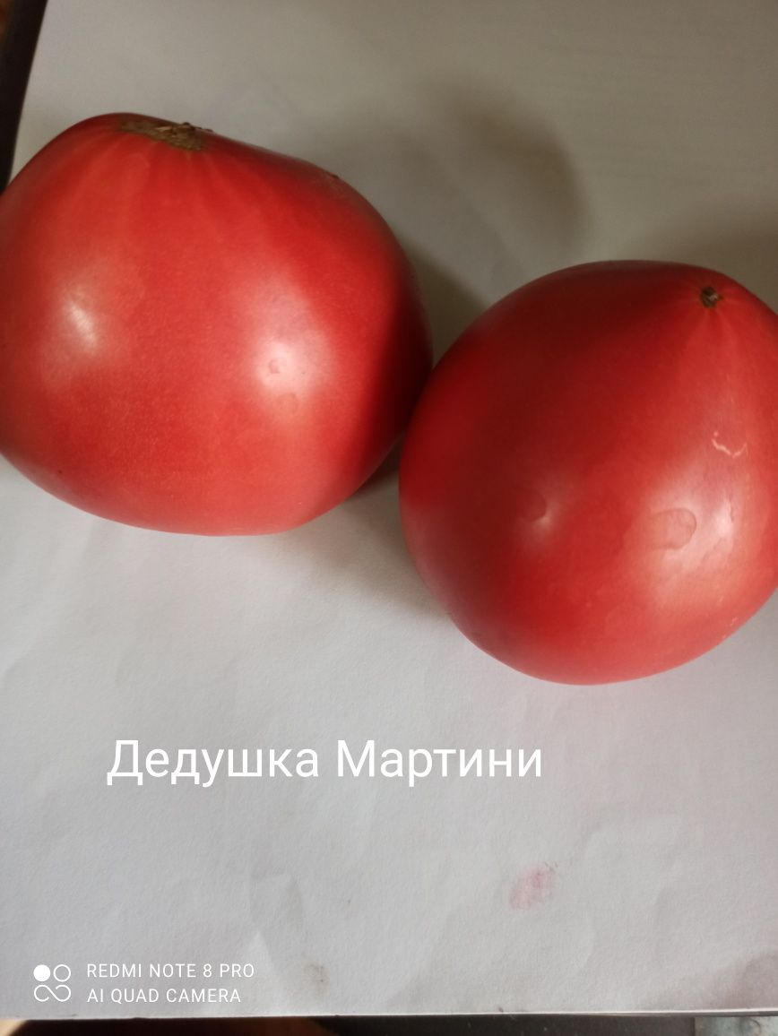 Сортовые помидоры