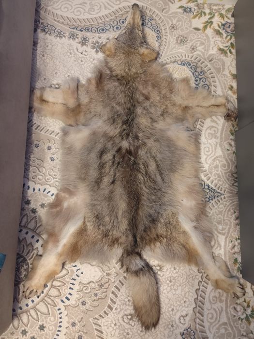Продам ковер из волка