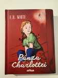 Panza Charlottei