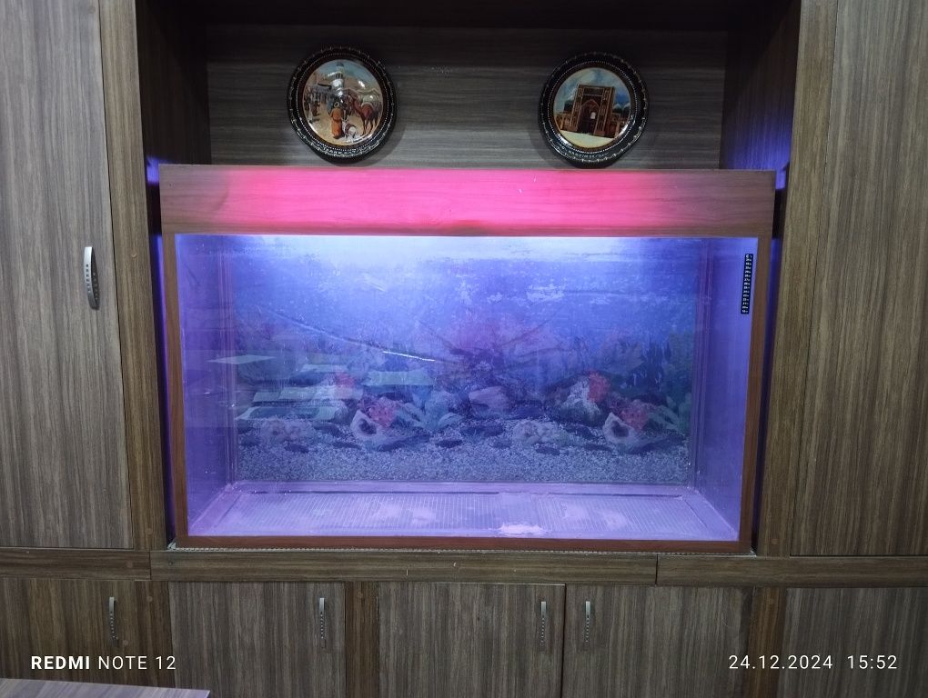 Akvarium  tezlikda sotiladi