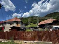 Casa cu 6000 mp teren, Poiana Ampoiului - Metes