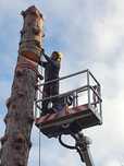 Arborist, Alpinist utilitar in arbori/ copaci
