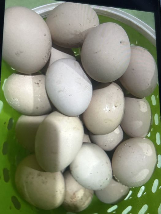 Подпишись на этот номер???