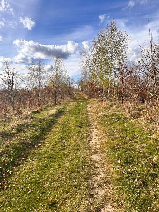 Vând teren lângă Moara de Vant Cluj,Salicea