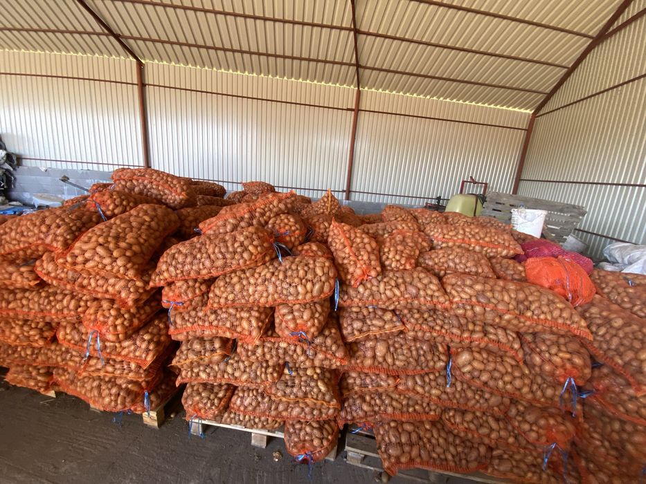 Cartofi pentru animale