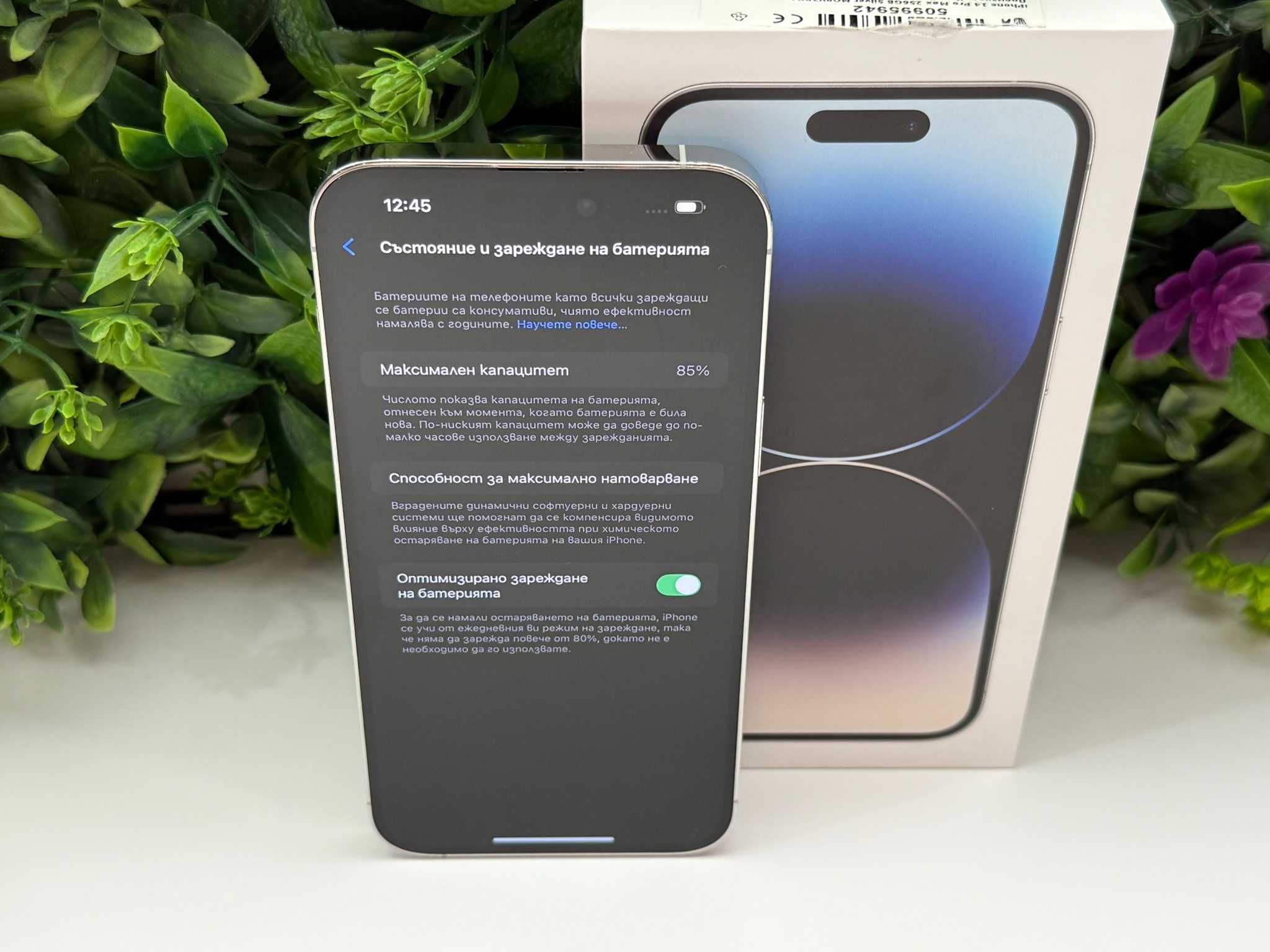 iPhone 14 Pro Max 256GB Silver