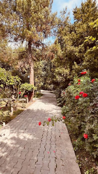 Продается фазенда в шикарном в тихом месте 1,30 гектаров