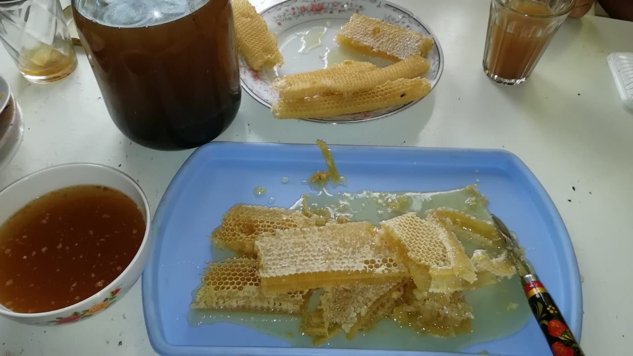 Высокогорный Мёд . Своя пасека