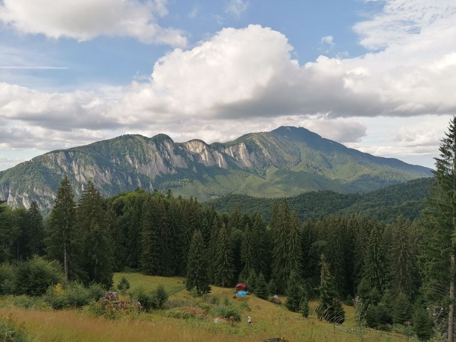 Vindem teren intravilan pășune,Predeal-Trei Brazi-Rașnov