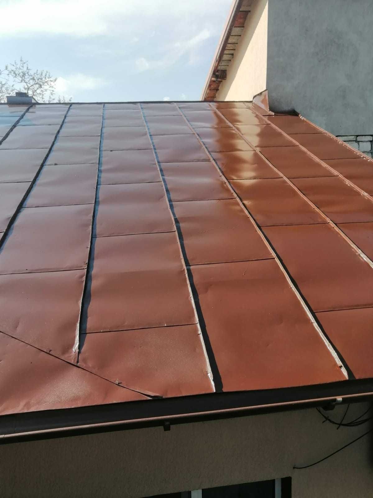 Vopsim orice tip de tabla pe casa, garduri, porti si alte suprafete