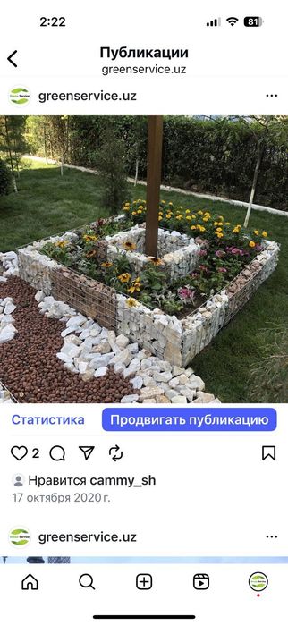 Рулонные газоны качественно.