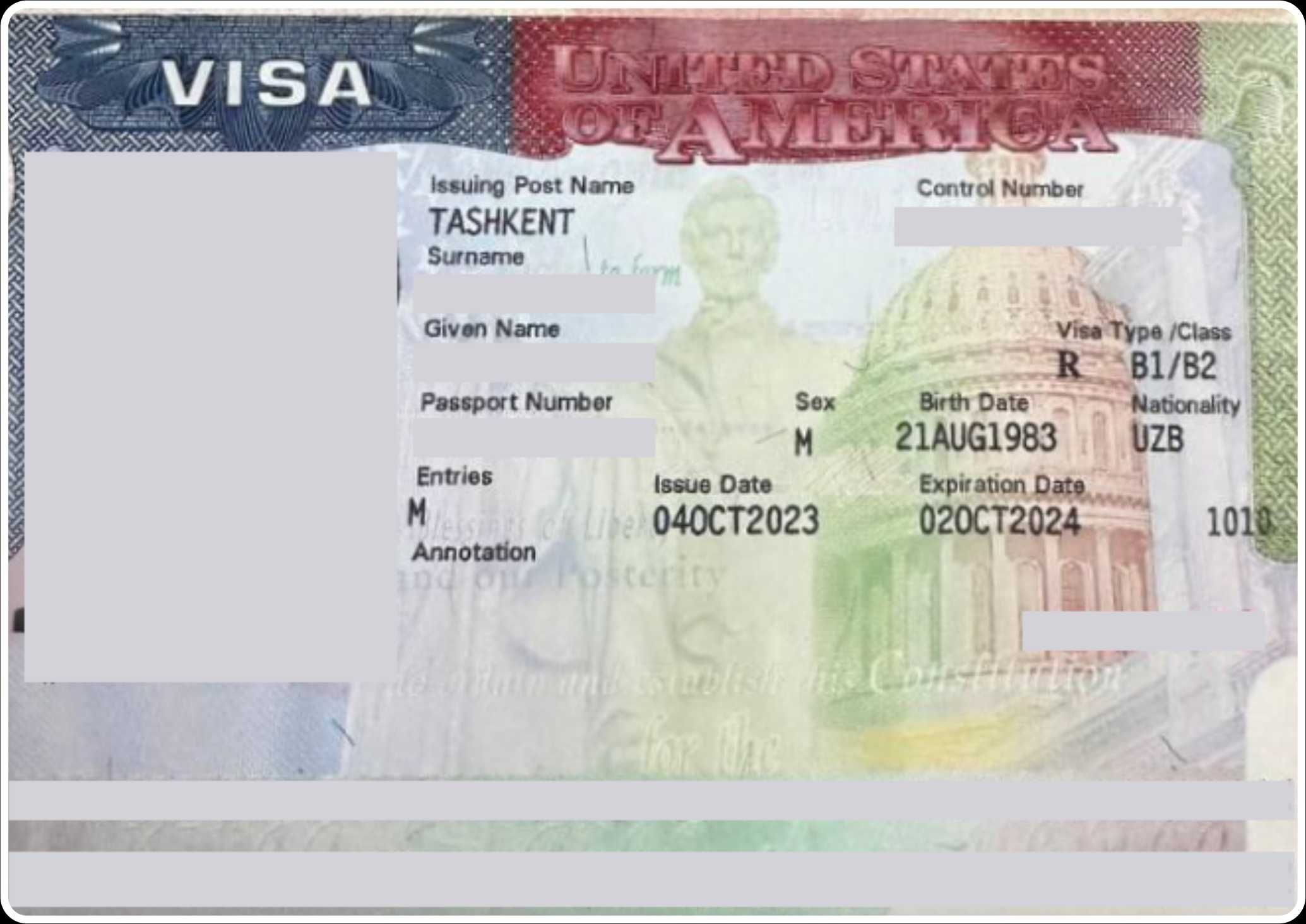 Многолетняя туристическая виза в США сроком на 1 год