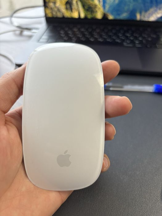 Apple magic mouse 2