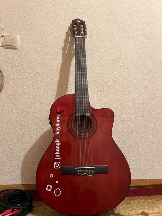 Gitara Ashton (Termez )