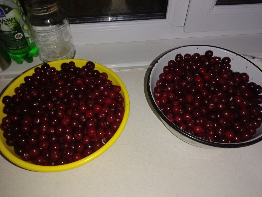 Продам вишню крупные