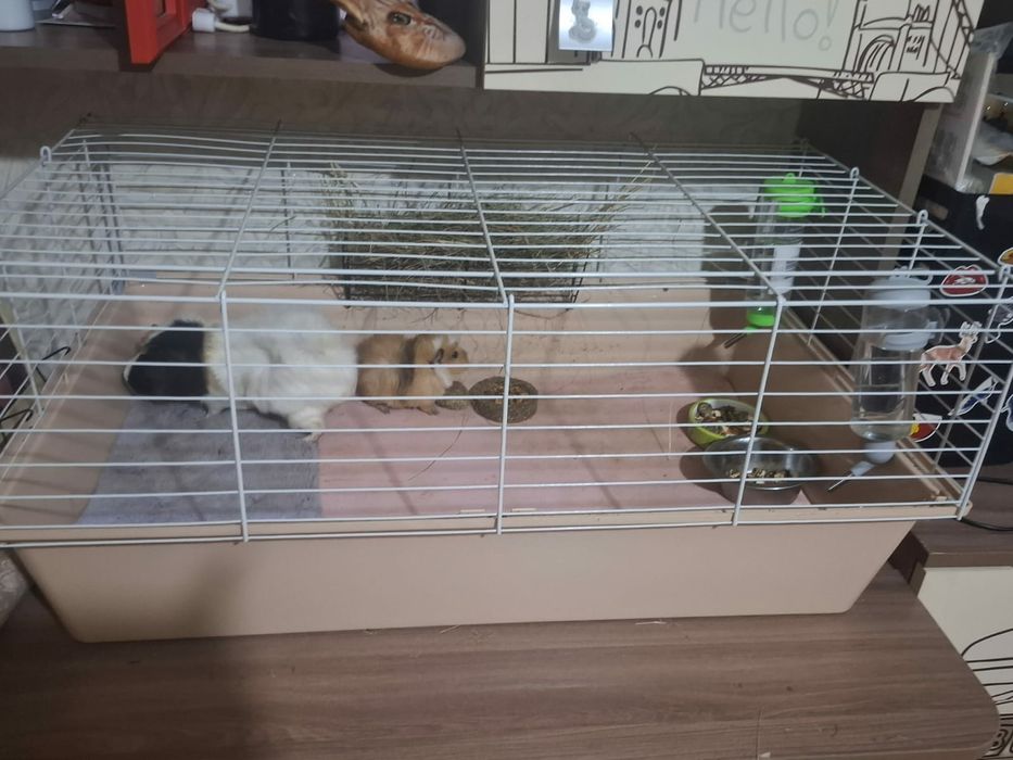 Петропавловск Продам большую клетку