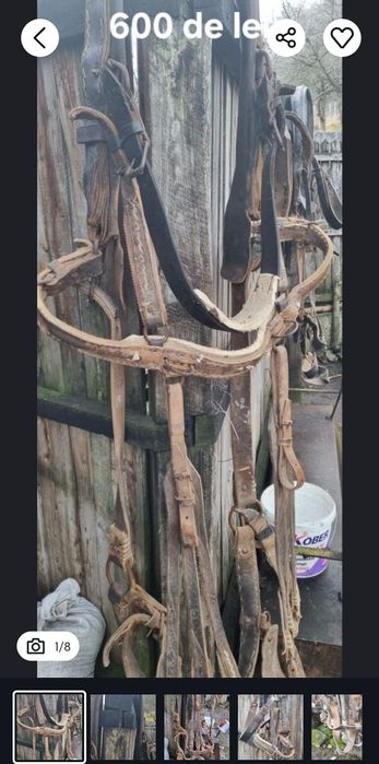 Hamuri cai din piele