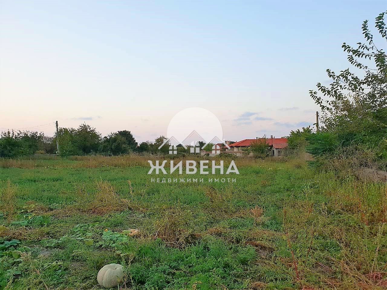 Продава се Парцел в с. Българево, Област Добрич - 3064 кв.м за 17 €/кв.м - Снимка #10