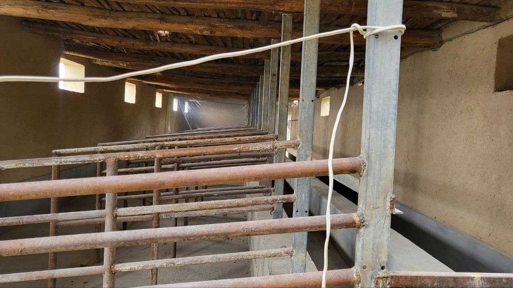 Назарбек Текстилда 6 сотих ховли сотилади. NR494/49