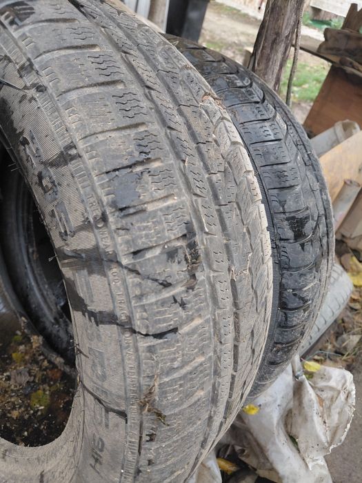 Cauciucuri 205 55 r 16 m*s