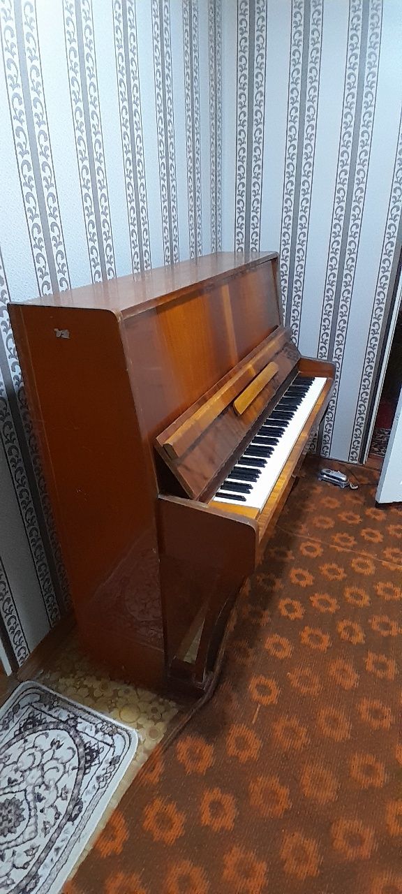 Пианино растов-дон