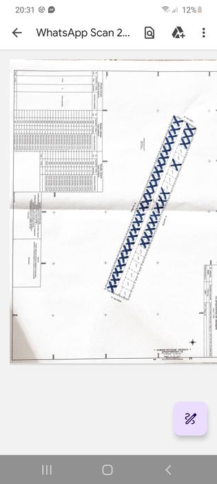 Loturi teren Narcise Tg-Jiu